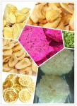 Pet Food Meat Lyophilisation Equipment 1Kg 2Kg 3Kg 4Kg Vacuum