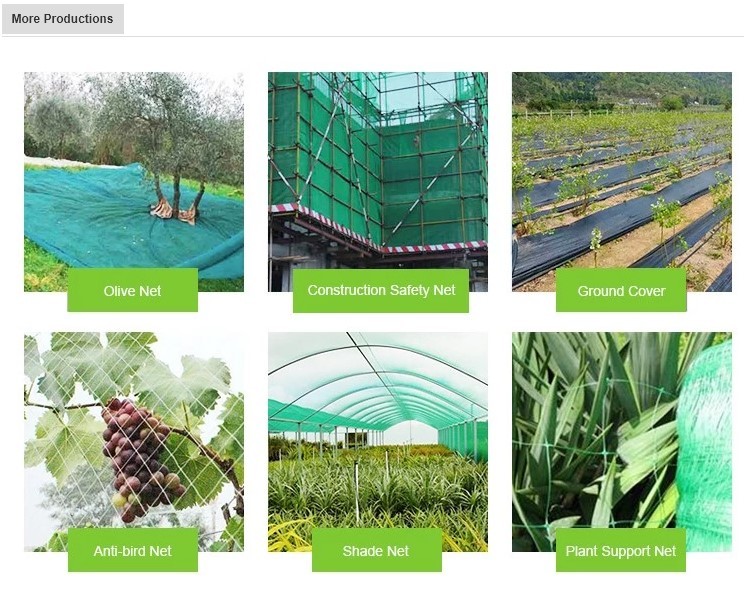 OEM Available Greenhouse Shade Net HDPE Agriculture Knitted Sunshade Net
