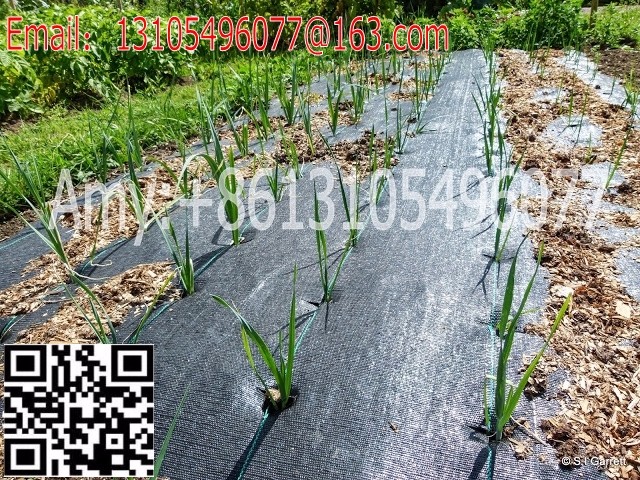 weed barrier ground cover weed mat landscape mat silt fence fabric (82).jpg