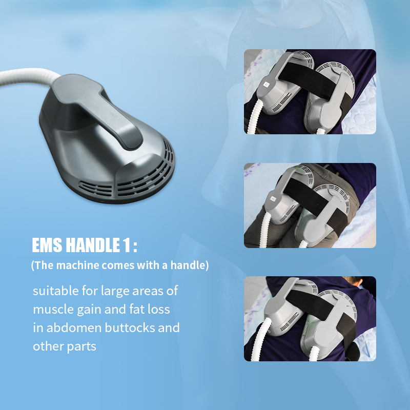 Tesla Ems Laser 2 Handles Intensity Pulsed Electromagnetic RF 5000w Muscle Stimulator
