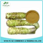Hot Sale Free Sample Fresh Horseradish Extract Powder