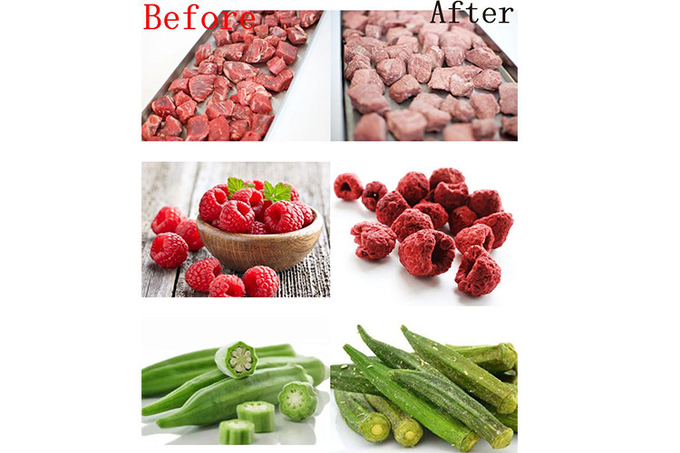 Industrial Grade Food Vacuum Freeze Dryer 300 Kg/Batch