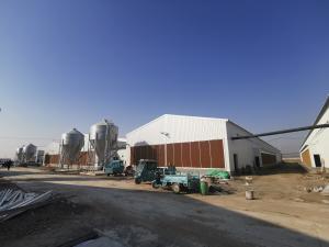 China Galvanized Full Antomatic Steel Poultry Farm Shed Bird House Prefabricated wholesale