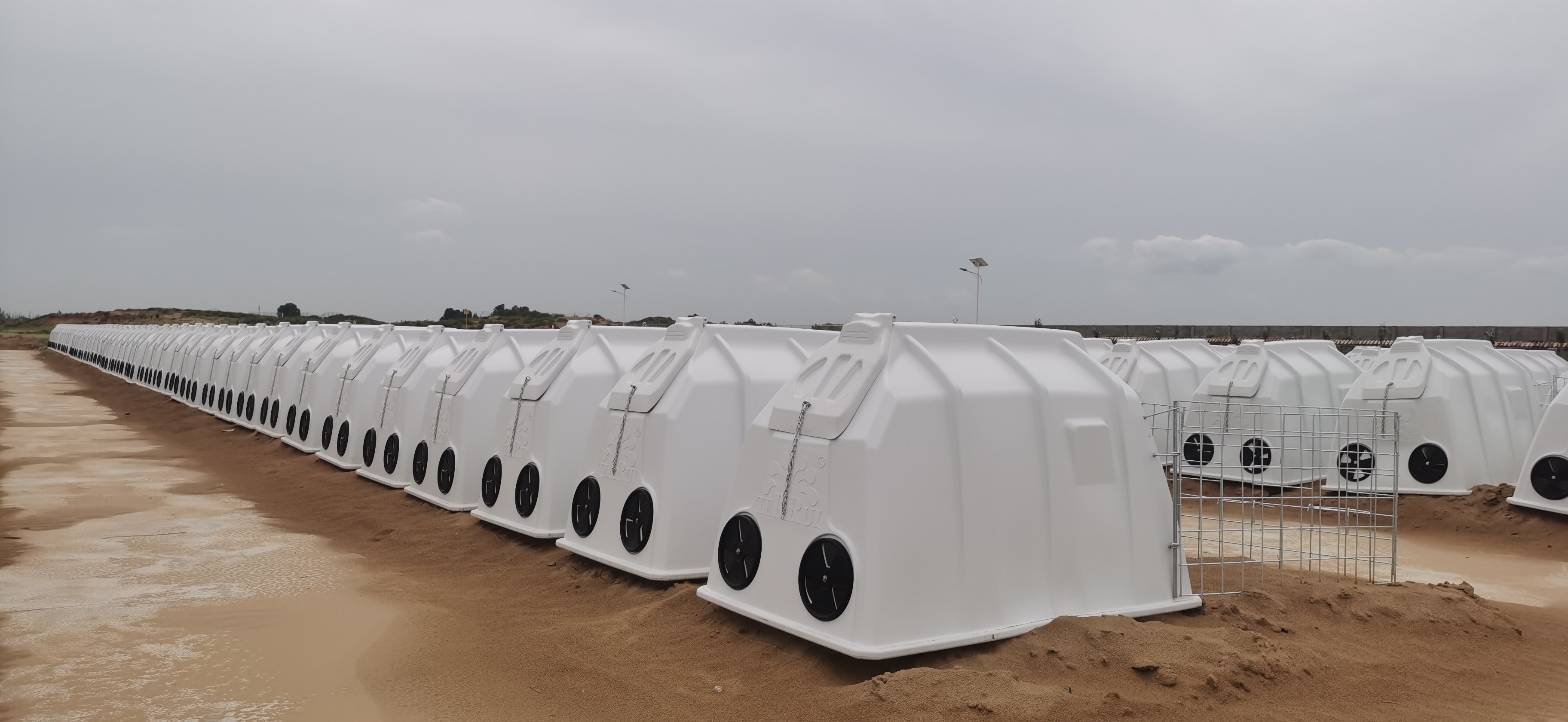 White Polyethylene Dairy Calf Hutches The Essential Equipment for Dairy Farms