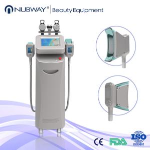China Beauty Equipment Cryolipolysis/2 Handpieces Cryolipolysis wholesale
