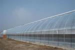 Professional Precision Insect Mesh Netting For Agriculture Greenhouse