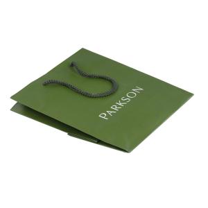 China ISO9001 SGS Green Kraft Paper Bags With Handles PP Twisted wholesale