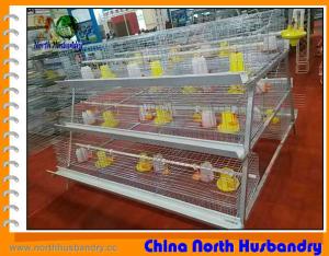 China Galvanized Chicken Cage from Poultry Cage wholesale