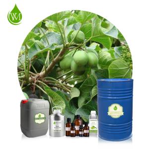 China Skin Revitalizer Organic Cold Pressed Neem Oil 100% Pure wholesale