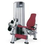 Pin Loaded Leg Extension Machine Gym Quadriceps Shins Adjustable Seated