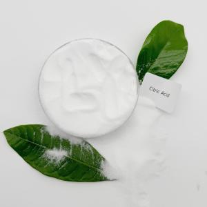 China Food Additives Powder Plant Food Grade Anhydrous Monohydrate Citric Acid wholesale