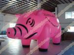 Full Digital Printed Custom Shaped Balloons