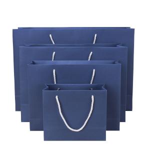 China Multifunctional Cardboard Shopping Bag With Handles For Boutique Shop wholesale