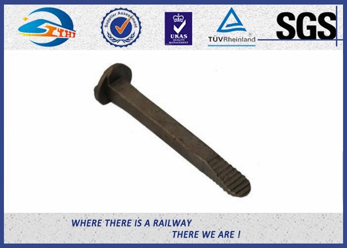 Standard Plain Railroad Track Spike Dog Screw Spikes Carbon Steel 4.6 Grade