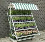 Iron Steel Plywood Danish Plant Trolley , 500kgs Flower Pot Rack With 4 Wheels