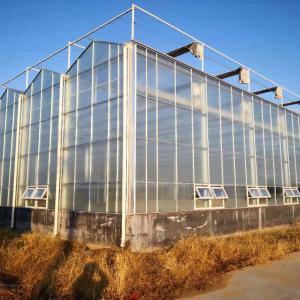 China Agricultural Super Strong Resistance Vegetable Fruits Flowers Polycarbonate Sheet Greenhouses wholesale