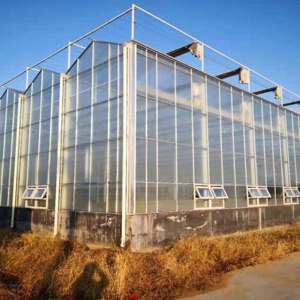 Agricultural Super Strong Resistance Vegetable Fruits Flowers Polycarbonate