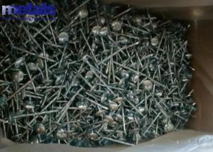 China Flat Head 3 Inch Outdoor Electrogalvanized Nails wholesale