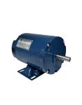 Induction AC motor