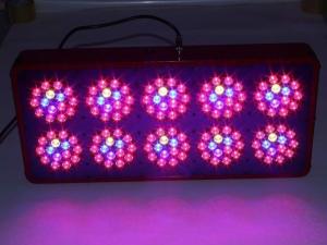 China 2016 apollo 10 best led grow light For Indoor Garden wholesale