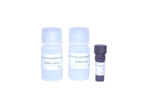 China Sperm Mitochondria Staining Kit High Accuracy Male Fertility Test Kit wholesale