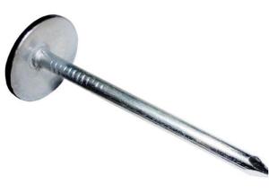 China BWG9 Smooth Shank Hot Dipped Galvanized Roofing Nails wholesale