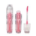 Cosmetics Vegan Moisturizing Velvet Lip Gloss