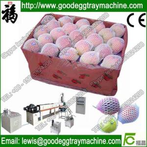 China PE Physical Foamed Net Machine(FCEPEW-70) wholesale