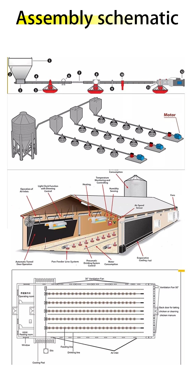 HX Poultry House Feed Pans PP Broiler Poultry Equipment Fully Automatic