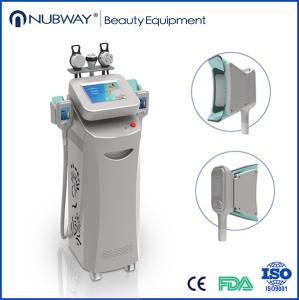 China Professional Cryolipolysie Machine/Popular cryolipolysis machine wholesale