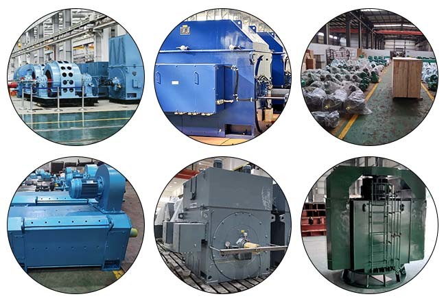 Y630-12 3 Phase Asynchronous Squirrel Cage Induction Motor 710kw 496rpm