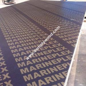 China Film faced plywood poplar core WBP glue, shuttering plywood 18mm, film faced plywood with brand name wholesale
