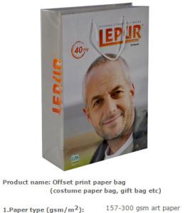 China Low Cost Ribbon Handle Gift Carrier Custom Made Design Logo Luxury wholesale paper shopping bag wholesale promotional ec wholesale