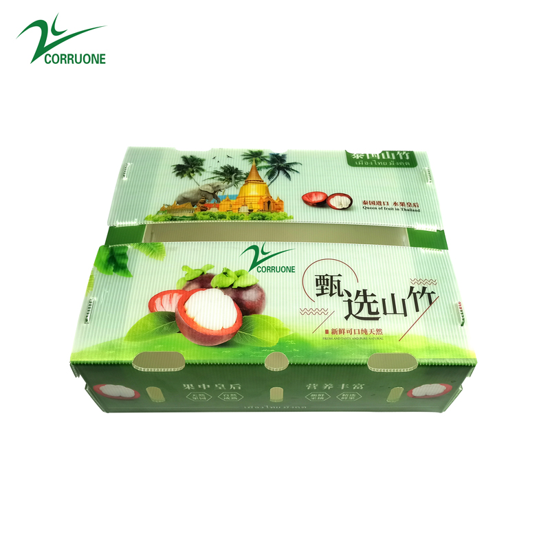 5mm 6mm Reusable Corrugated Plastic Boxes Recyclable UV Coating