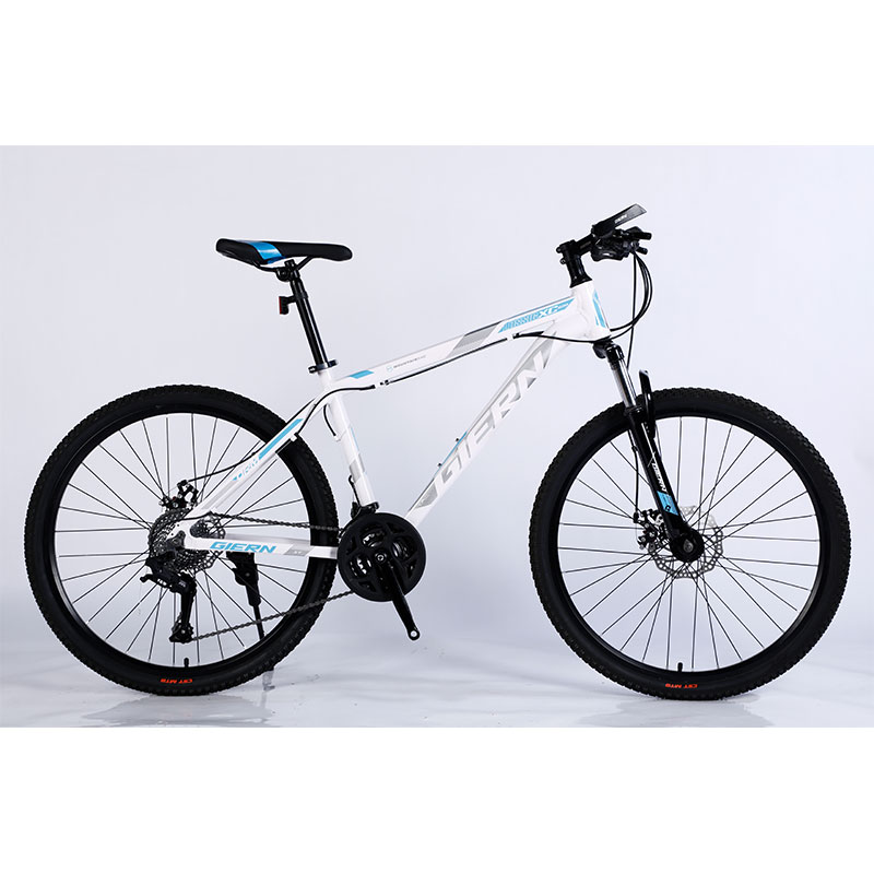 Steel Rim 27 Speed Mountain Bike for Male Lightweight Dirt Jump Bike