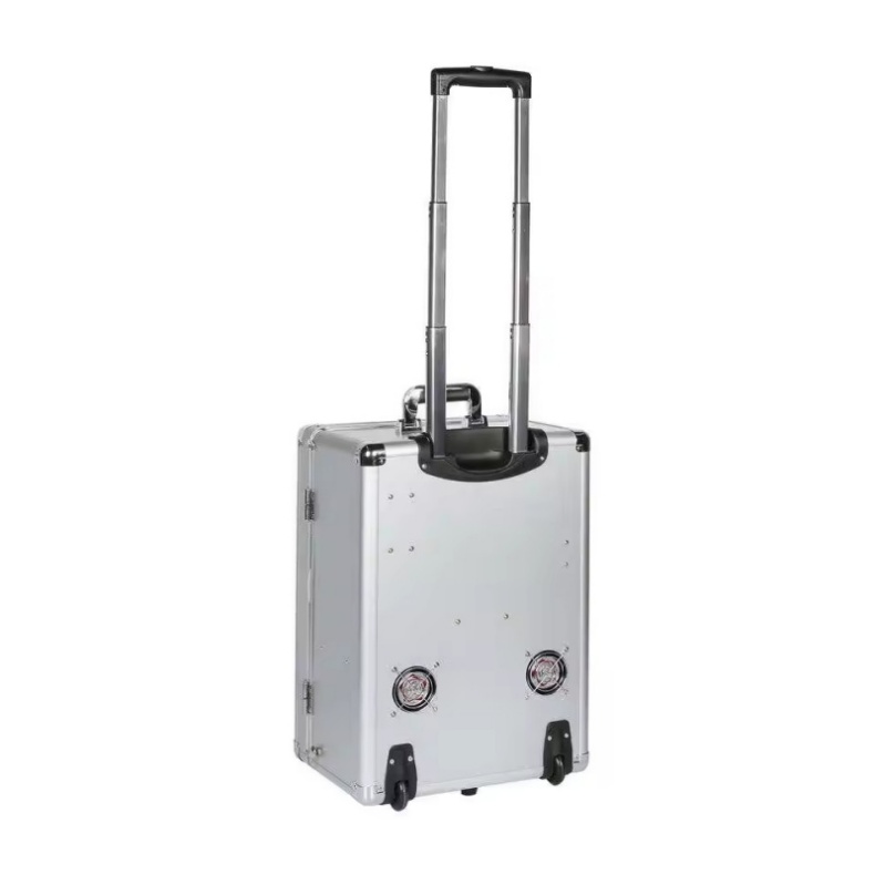 Luggage Style Dental Clinic CE Approved Dental Mobile Unit With Air Compressor