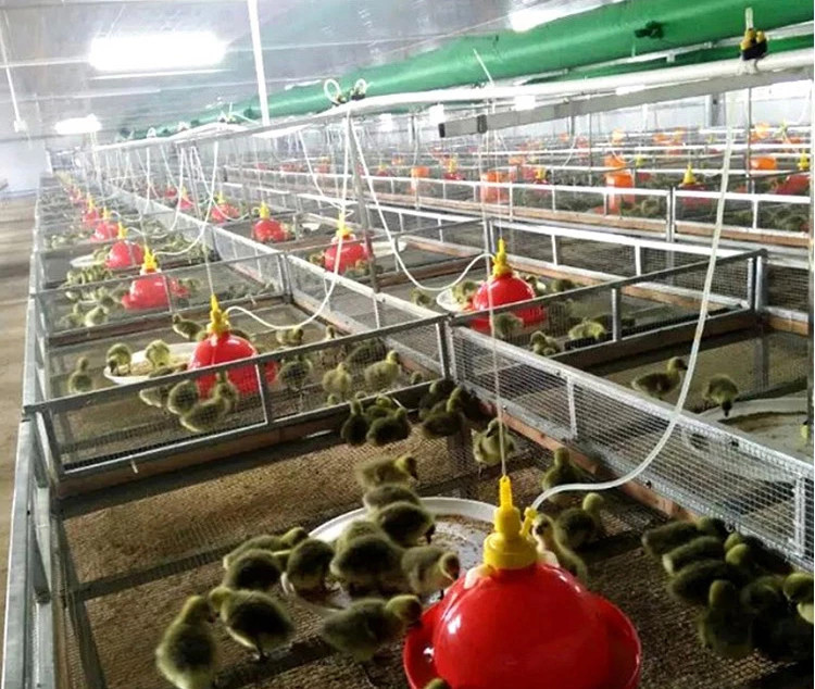 Automatic Plastic 830g Plasson Bell Drinker