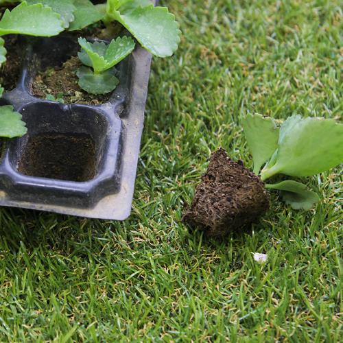 Professional Nursery seedling trays seed tray seeds trays with high quality