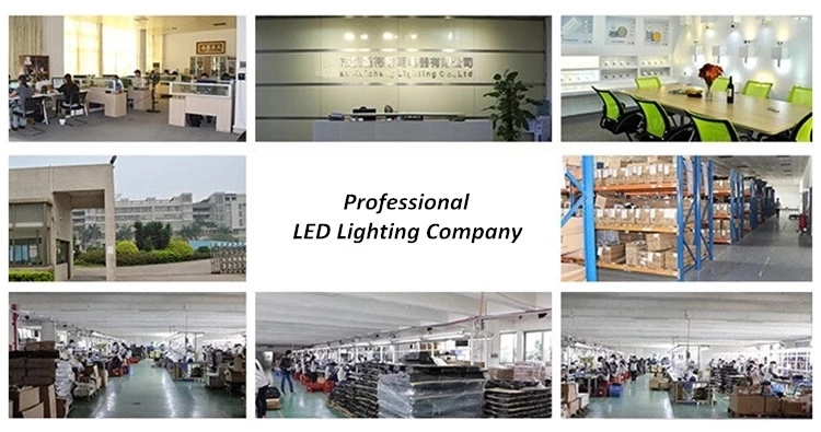 Aluminum Outdoor LED Street Lights AC100-270V , Waterproof 50w LED Street Light