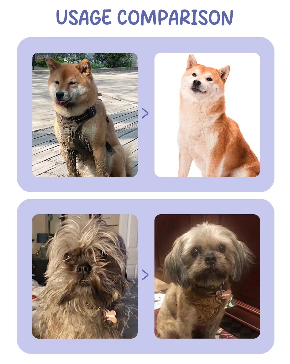 Safe Pet Laundry Detergent Sheets Plastic Free Eco Friendly Dog Shampoo Sheets