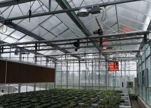 China Plastic / Poly Agricultural Greenhouse , Vegetable Tunnel Multi Span Greenhouse wholesale
