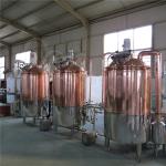 300L lager beer brewery equipment for brewpub and restaurant