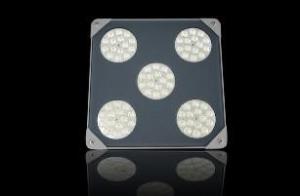 China 75W LED Canopy Light wholesale