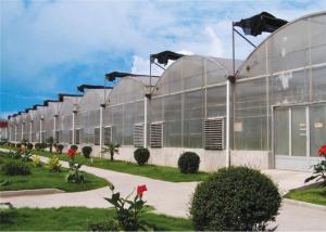 China Eco Friendly Plastic Garden Greenhouse Galvanized Steel Tube Frame Structure wholesale