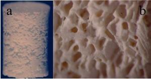 China Hydroxyapatite ceramic scaffold wholesale
