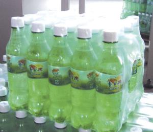 China No Electrostatic Interference 220volt Bottle Packing Machine wholesale