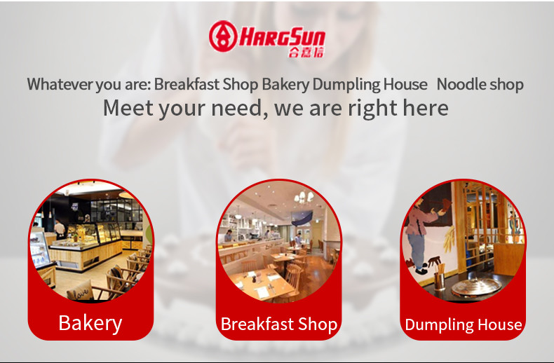 10L Heavy Duty Mixer For Pastry Baking Cake Machine