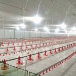 45mm Diameter Broiler Equipment