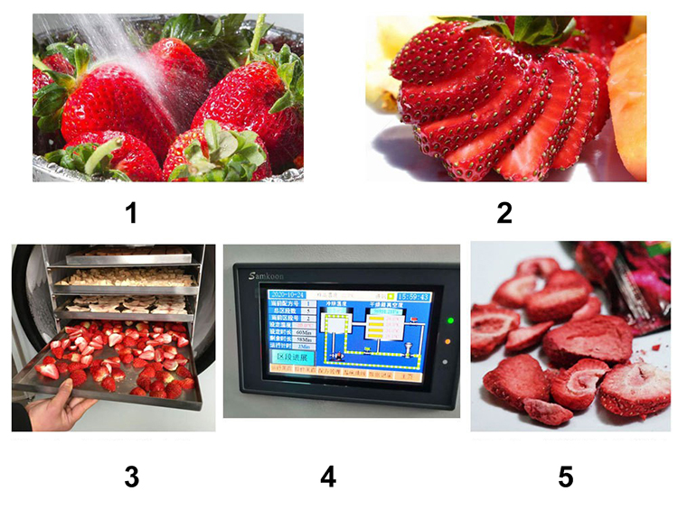 Brand New Multi-Function Food Factory Drying Turnip Large Freeze Dryer