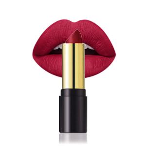 China Long Lasting Red High Pigment Vegan Makeup Lipstick wholesale
